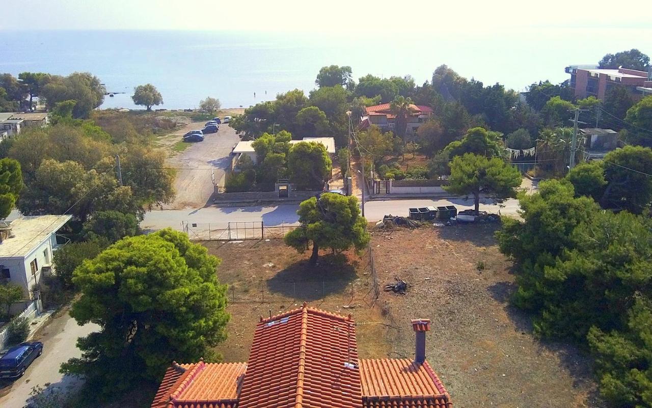 Augoustinos - Sea Side Luxury Apartments 아르테미다 외부 사진
